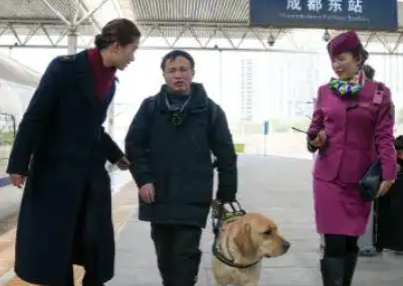 高铁宠物托运试点，开启“带宠出行”新时代