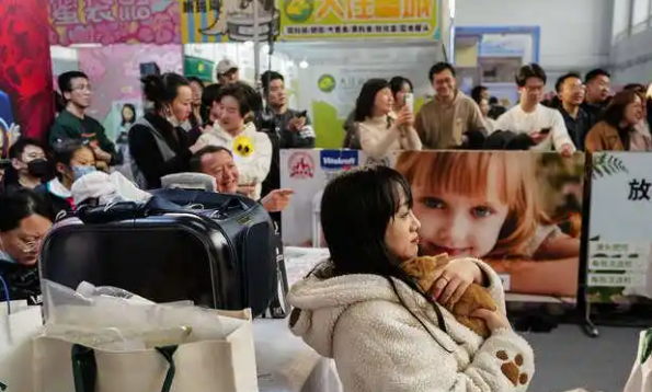 宠物时装、宠物直播、宠物AI无创体检……