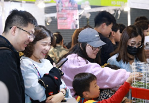 它博会宠物展迎来五周年，沉浸式体验萌宠