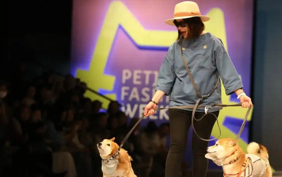 “养儿式”养宠，成消费新趋势