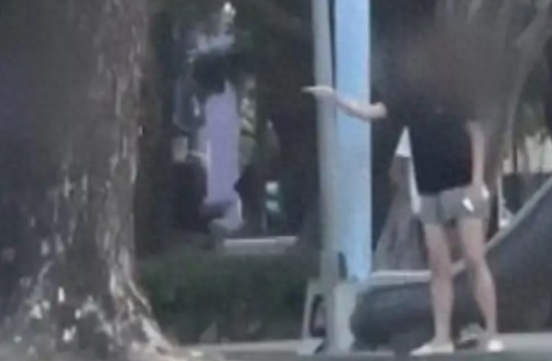 台湾老伯喂狗吃巧克力，狗主暴怒报警