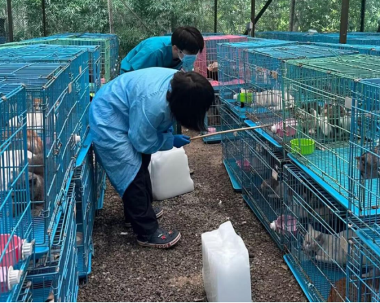 江苏泰州查获违规运猫车救下900余只猫