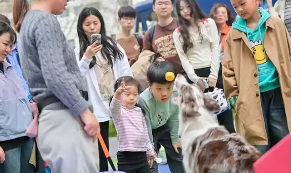 HAZZYS在南京举办爱宠嘉年华，萌力全开！