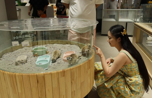 济南高新区：“宠物经济+首店效应”带动消费热潮