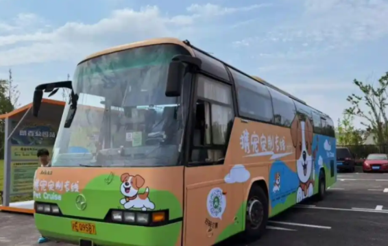 上海首条宠物公交专线开通50天：每张票20元、限定1人1宠