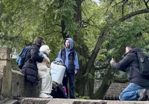 浙江多地打造宠物友好环境，引发网友关注