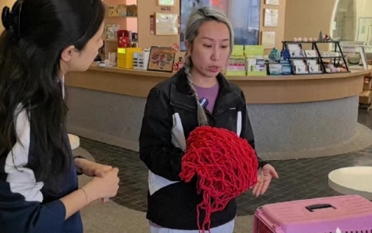 宠物友好出行，下一站有多远？