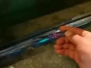 狗狗经过小区充电桩时倒地抽搐死亡