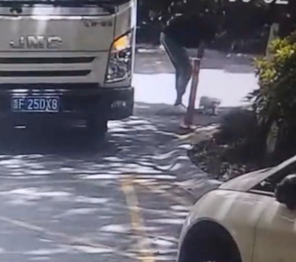 一只超漂亮可爱的小狗，竟被司机遗弃路边
