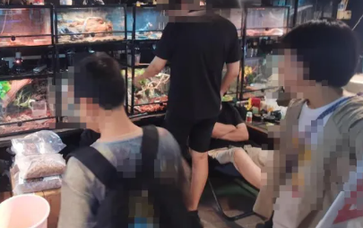 隐蔽的“宠物蛇产业链”