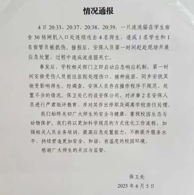流浪猫连续伤人被捕杀，应看到校园管理的“两难”境地