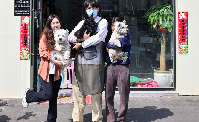 太神奇了，狗狗助力主人脱单！