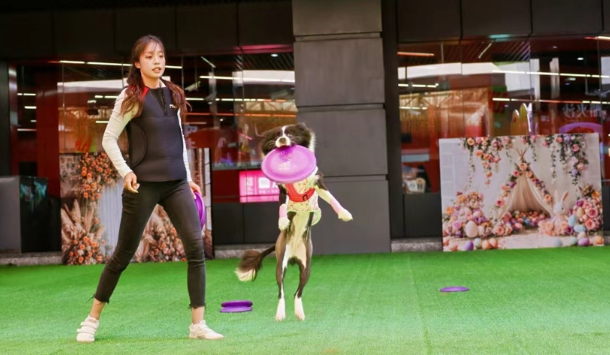 宠物经济火爆，多个宠物经济“首店”亮相