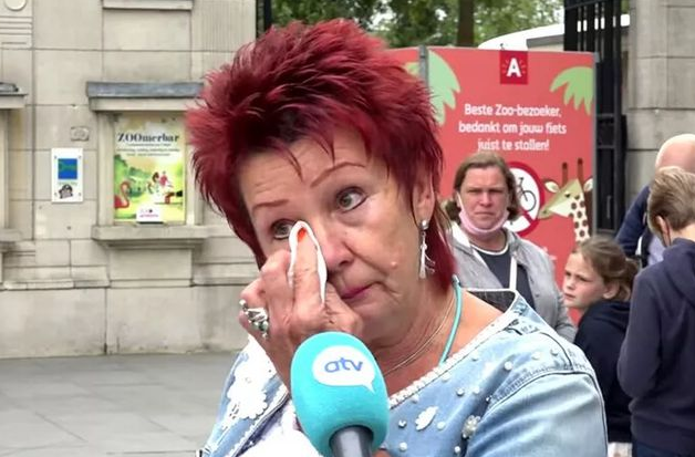 女子被禁止进入动物园，只因“爱上”黑猩猩”