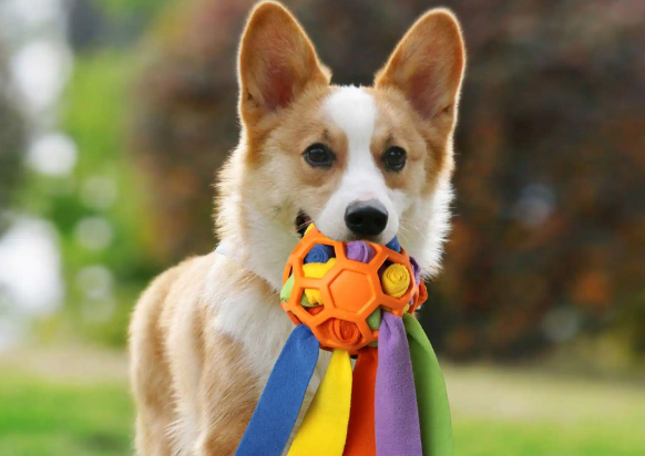 宠物用品、平价茶饮、古法黄金等成为消费者追捧的“新宠”