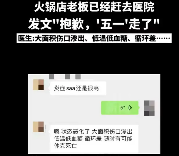 掉进火锅的小猫已离世！店主做法被点赞