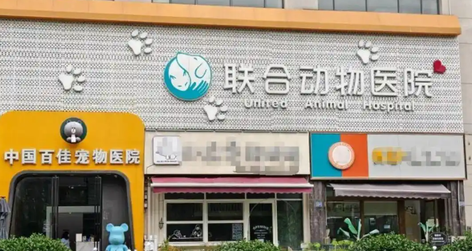 宠物猫手术后突然死亡，猫主人想要调取监控遭宠物医院拒绝