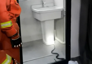 网购1米多长的宠物蛇，刚到家就跑了