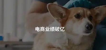 暴增11倍！这家公司宠物业务卖爆了