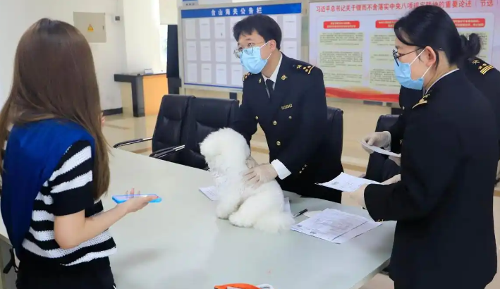 携带宠物出境便利升级，“一键申报”更便捷