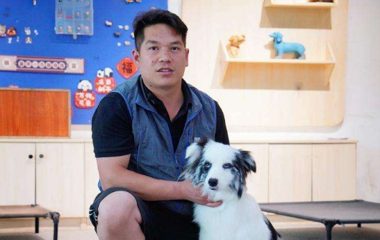 狗狗出场费350元一小时，义乌驯犬师“掘金”宠物经济