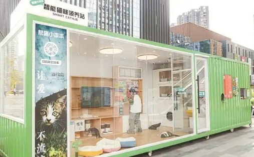 宠物数量超百万只，产业规模达百亿元，深圳“它经济”活力十足