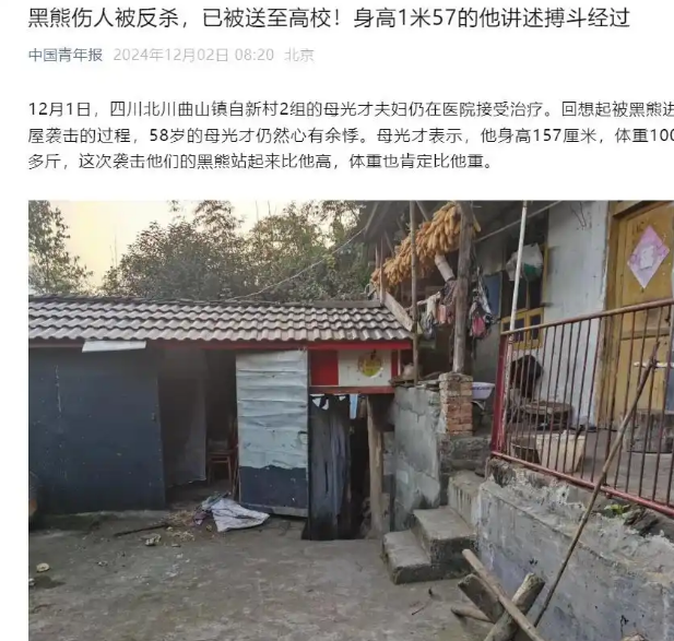 2岁黑熊出逃！动物园最新通报：开展拉网式搜寻