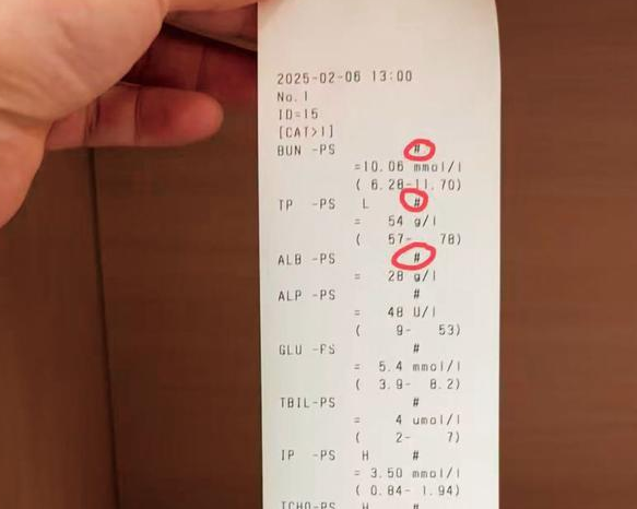 “医猫疗狗”坑太多，宠物主人“很受伤”