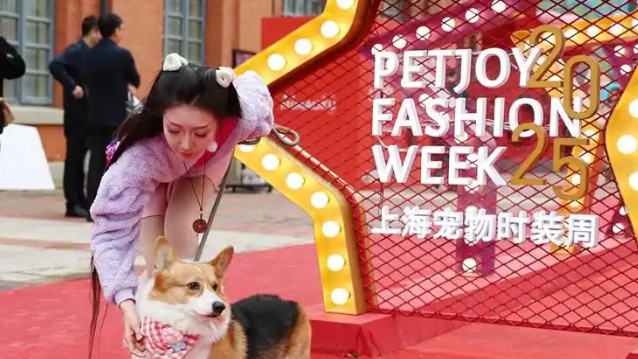 上海宠物时装周观察：养宠日趋“养儿化”