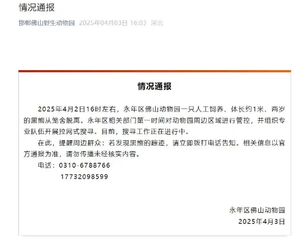 2岁黑熊出逃！动物园最新通报：开展拉网式搜寻