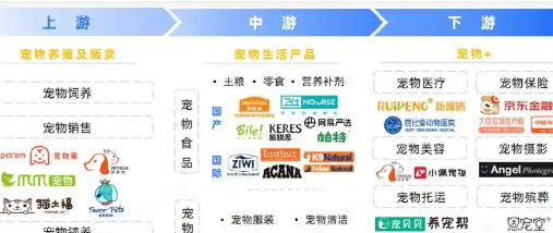 零食、家电、跨界萌宠玩具……宠物经济火了