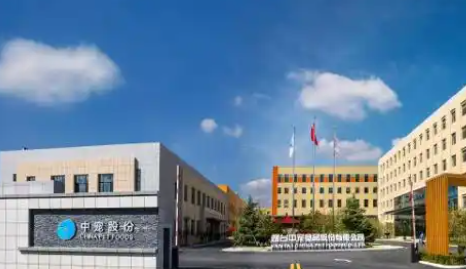 购买猫咪跑步机让猫减肥 “宠物细分市场经济”蓬勃发展