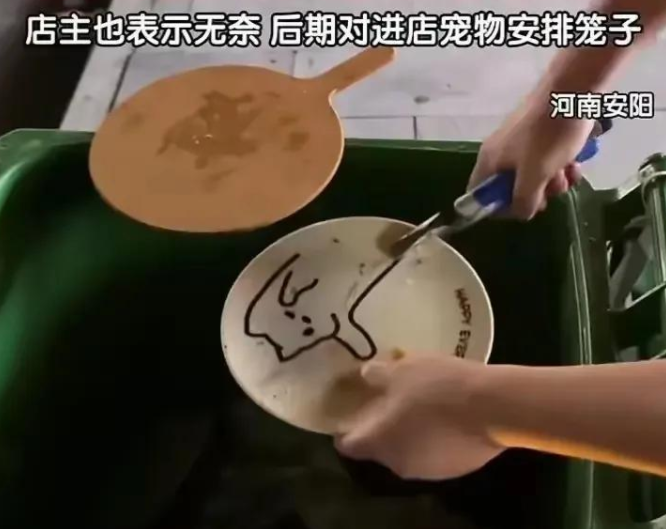 宠物狗顾客带宠物狗上座吃饭，老板无奈将餐具销毁