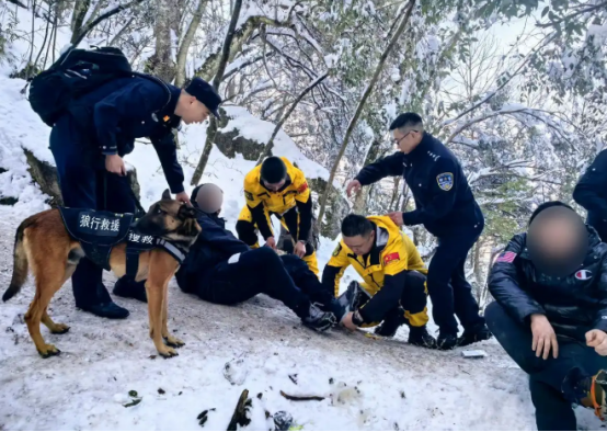 冰天雪地救助15人，杭州警犬“杰克”立功