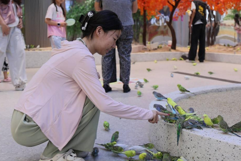 济南高新区：“宠物经济+首店效应”带动消费热潮