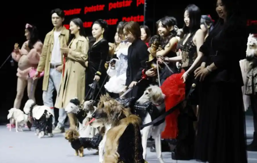 宠物经济：持续升温背后的动因