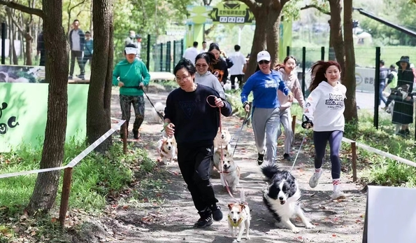 遛狗算不算全民健身项目？