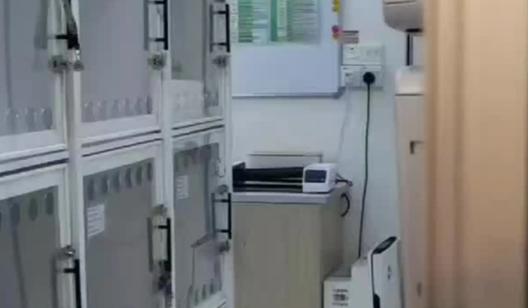 女子去宠物店取猫，找半天没找到，一抬头看到猫咪正歪头瞅着自己