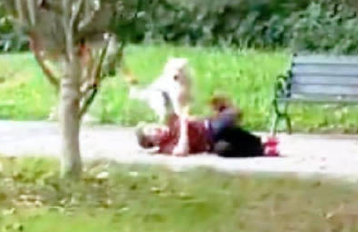 老人被邻居家宠物狗扑倒致死！法院判了