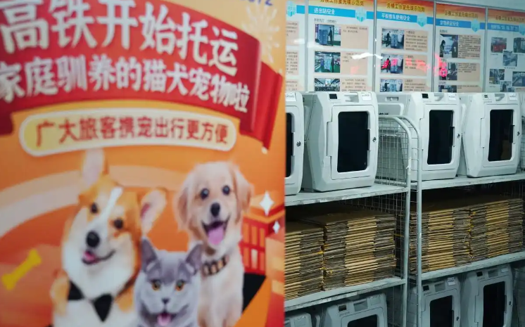 深圳出台宠物友好社区建设指南，打造更舒适的环境