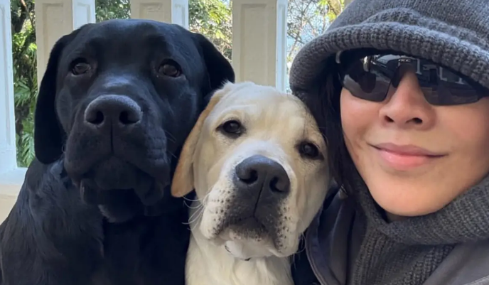 刘嘉玲在豪宅为狗庆生，两只狗戴领结出镜！