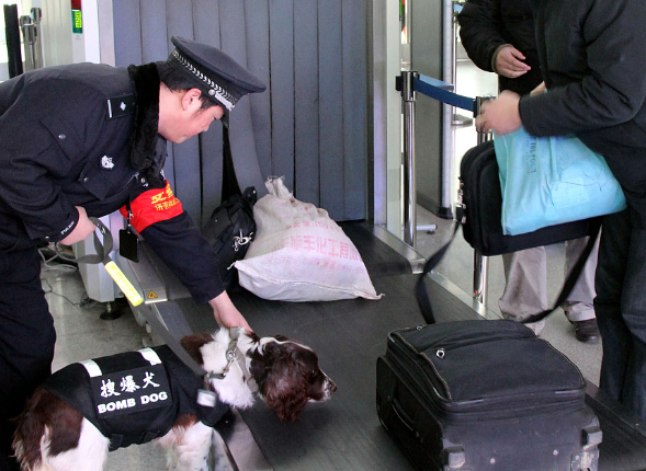 高铁宠物托运：从“钢轨”到“心轨”的服务升级