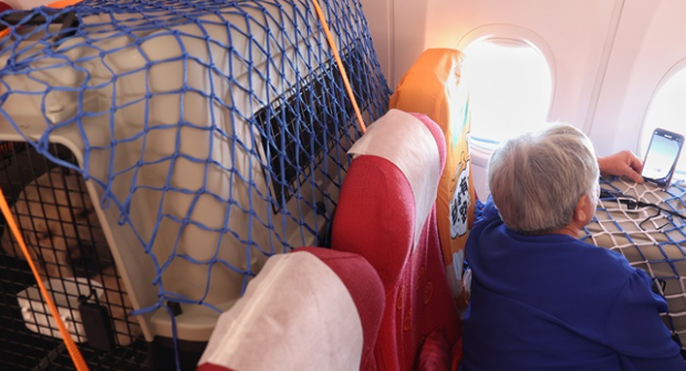 暑运高峰｜乘飞机带着宠物去旅行