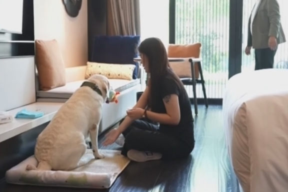 “宠物友好”撬动“大产业” “土”特产蓬勃发展“出海”忙