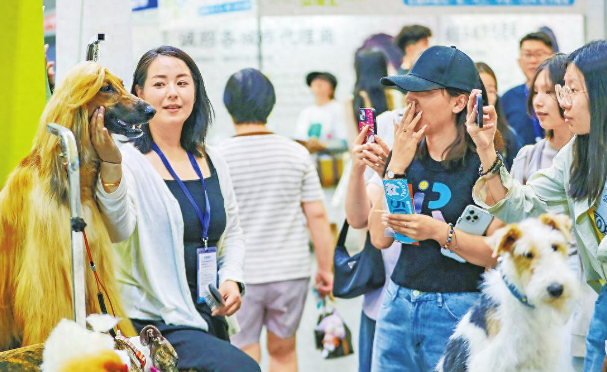 2025新疆宠物博览会，“智能养宠”成新趋势