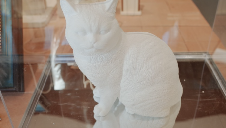 高价宠物殡葬收费达万元，“高情绪价值”还是诱导消费？