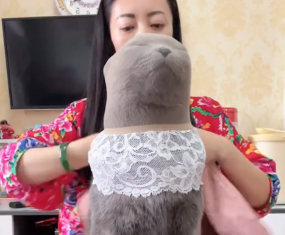 女子分享如何给猫咪剪指甲。网友：疑似P图抠上去的猫