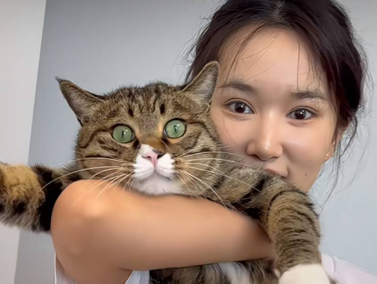 流浪猫逆袭成“猫医生” 专治人心已“接诊”120余人