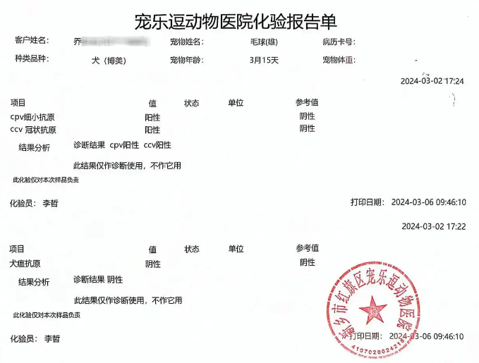 女子在直播间买到“星期狗”，商家：可补发不退款