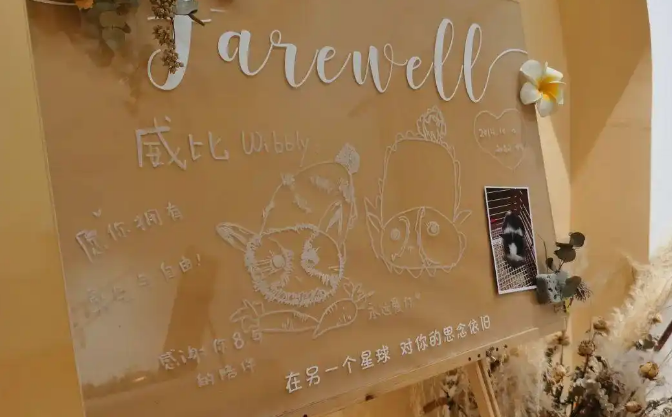 做宠物殡葬师这两年：并非暴利行业